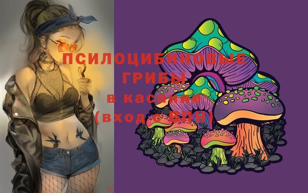 спиды Бабаево