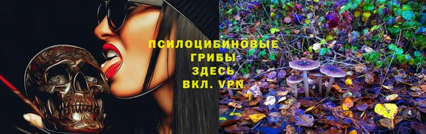 MDMA Premium VHQ Новозыбков