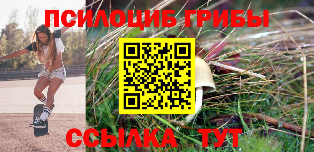 Псилоцибиновые грибы Psilocybine cubensis  Каменск-Уральский  Галлюциногенные грибы MAGIC MUSHROOMS 
