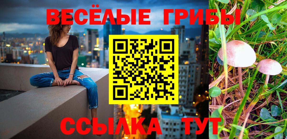 Галлюциногенные грибы Psilocybe  Галлюциногенные грибы прущие грибы  Каменск-Уральский  Вход с VPN 