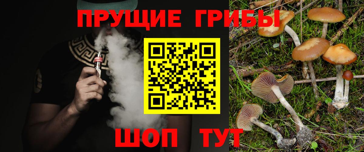 Галлюциногенные грибы прущие грибы Каменск-Уральский